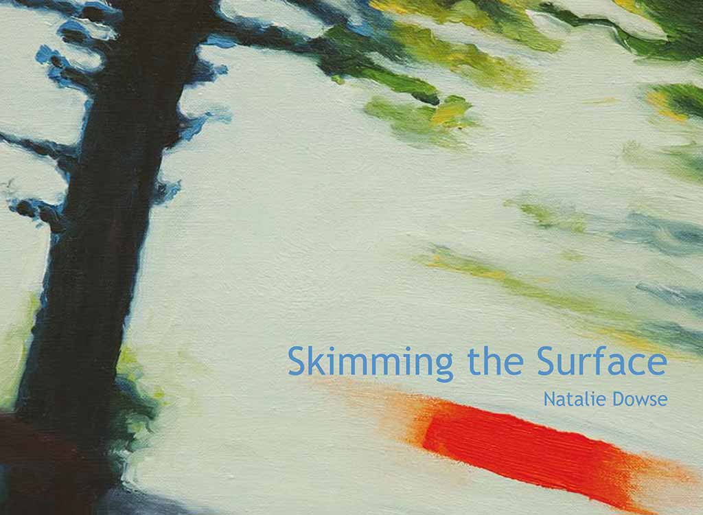 Skimming the Surface catalogue cover